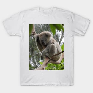 Koala T-Shirt